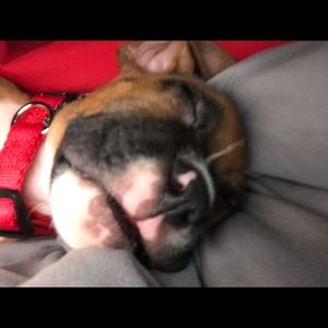 Meet your Posher, Abraham